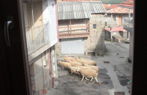 Casa Manuela - Foto 17