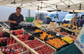 Le Cerf au Bois Dormant - Foto 22