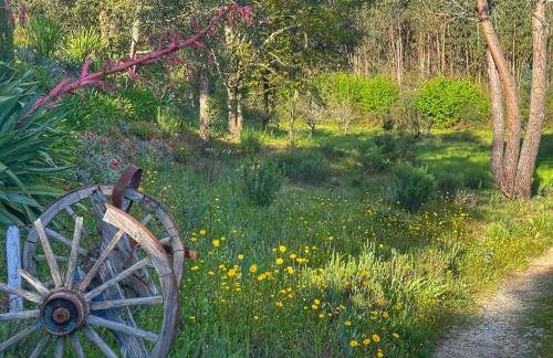 Quinta Do Pereiro - Foto 29