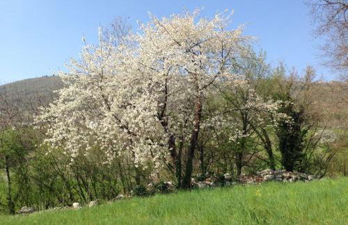 Agriturismo Fattoria Togonegro - Foto 28