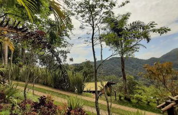 Chalé Pakere Montebello Lumiar - lareira, wi-fi, sauna, piscina - vista incrível - locação do chalé sem prestação de serviços - Foto 5