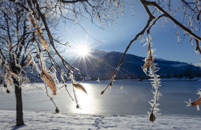 Superior # 5D mit Sauna - Foto 24