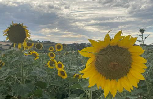 La casa di Alice - Casa Natura - Foto 32