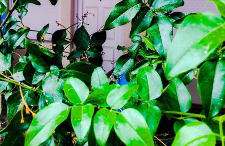 Athina K Rooms - Foto 29