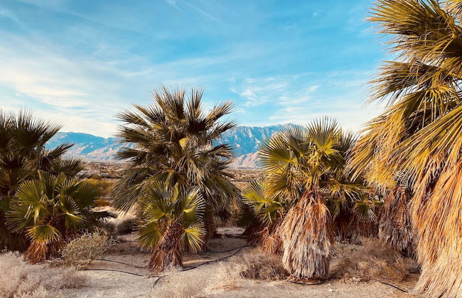 Bubbling Wells Oasis - Foto 43