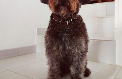 Moradía - alloggio turistico - Photo 11