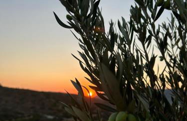 Nature & Sea Lipsi - Foto 11