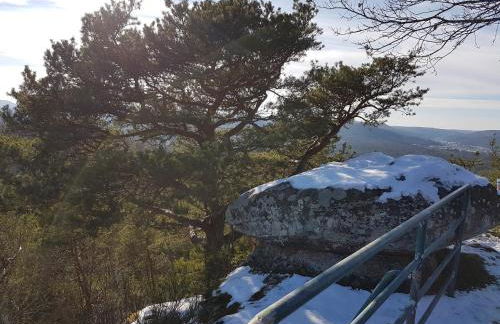 Ferienwohnung Waldliebe Hinterweidenthal - Foto 18