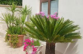 La Mansarda nel Borgo - Photo 2