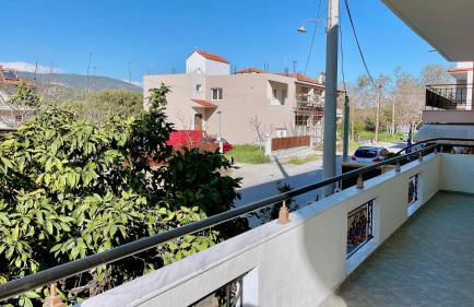 Garden Beach House - Photo 16