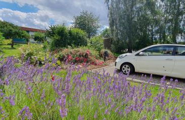 Haus Hinz Fe-Wo an der Ostsee - Foto 17