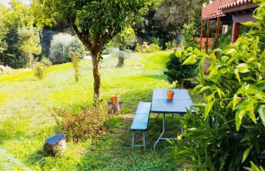 Quinta da Casa Matilde - NATURE HOUSE - Foto 10