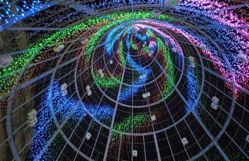 Casa silvosa - Photo 6