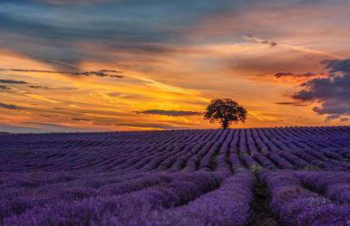 Maison chaleureuse en Provence - Photo 23
