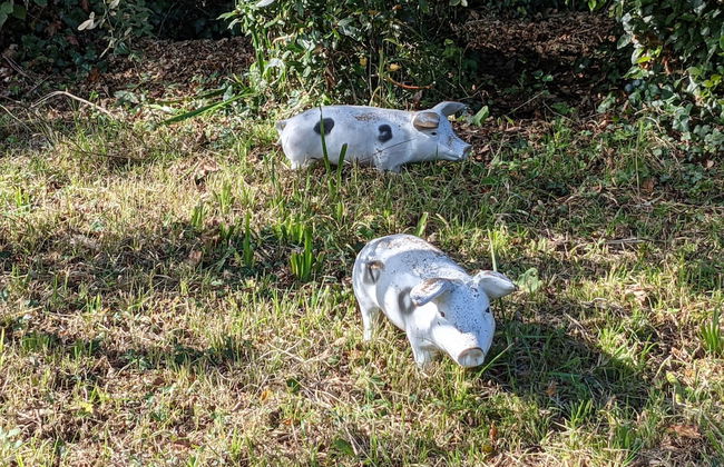 Kipper Cottage - Foto 33