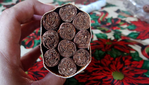 Admire the different types of cigars