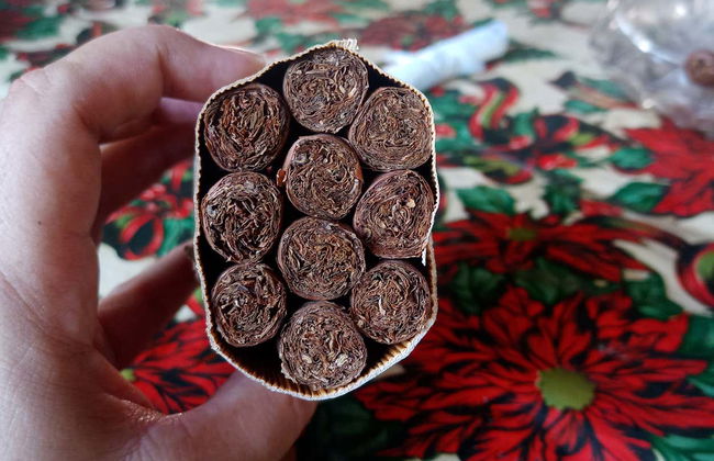 Viñales Tobacco Tour - Photo 3