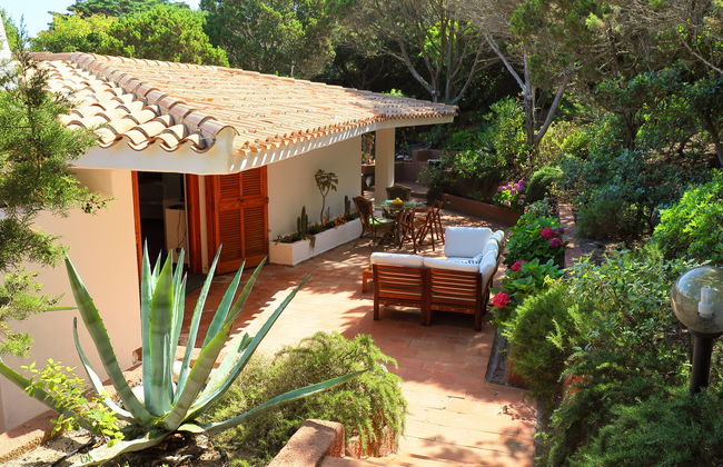 Terre Rare - Foto 23