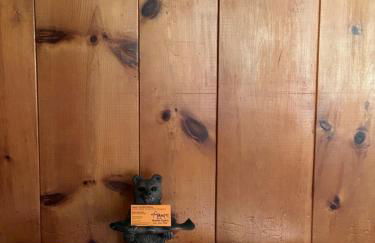 Lake Access! Twin Birch Resort - Kodiak Cabin - Foto 22