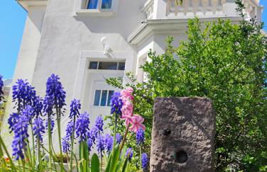 Gîte Le Marronnier, parking et terrasse au calme, entre Colmar-Riquewihr et Obernai, vue sur espaces verts et coteaux d Alsace, route du vin-châteaux - Foto 4