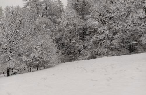 Appartamenti Il Cerbiatto - Photo 32