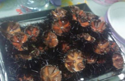 Badisco Vacanze - Foto 25