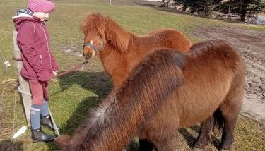 Spreewald-Pension Marina - Foto 4