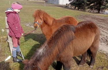 Spreewald-Pension Marina - Foto 4