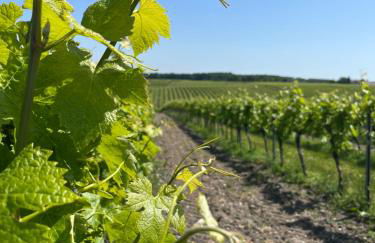 La Colline de Tilleul - Les Deux Puits - Cosy Cottage with swimming pool near Aubeterre - Foto 27