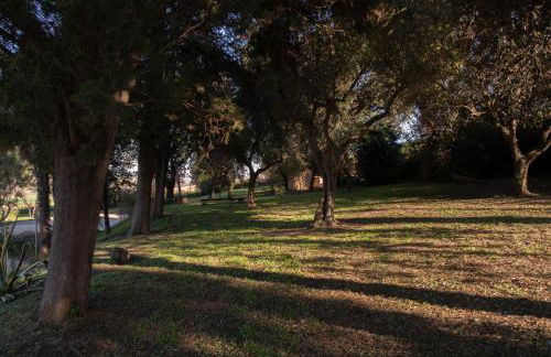 Villa Altrove - Foto 22