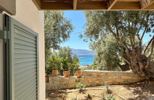 Sterna Suites - Photo 11