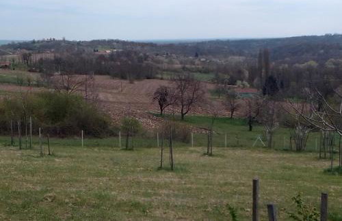 Studio apartman Šafarić - Foto 6