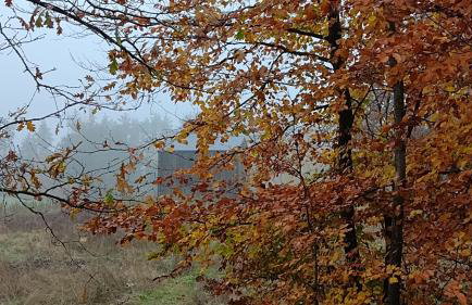 Domek Letniskowy ZŁOTY KARAŚ - Foto 28