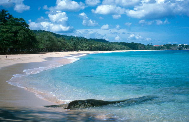 Blue Lagoon & Playa Grande Day Trip - Photo 2