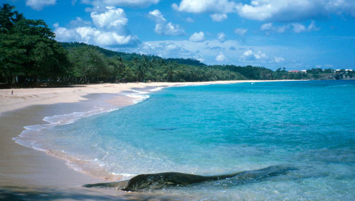 Blue Lagoon & Playa Grande Tour - Foto 1