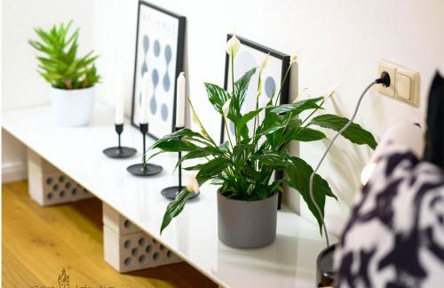 Casa Wimpina - geschmackvolles Appartement im Herzen der Altstadt - Foto 16