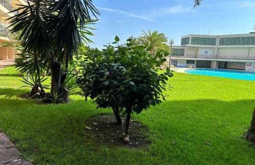 Gandia Tropicana Suite - Photo 20