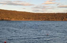 La casa sul lago - Foto 26