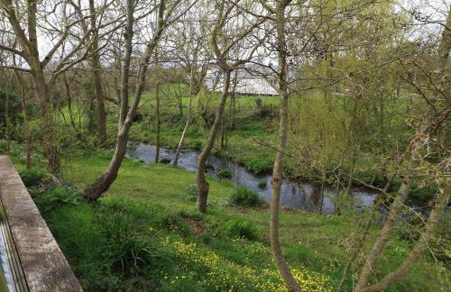 Glan Felin - Foto 38