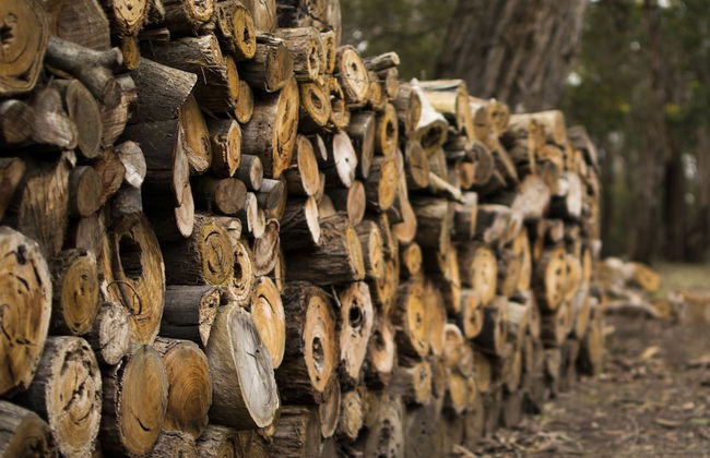 Freshwater Creek Cottages and Farm Stay - Foto 63