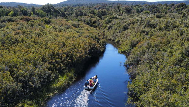 Vista aérea de la barca río arriba
