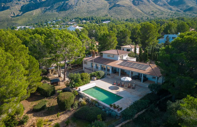 Orquidea 34 - Photo 41