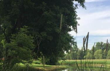 Creekside Lodge - Foto 43