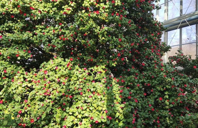 Mey Comfortable Holiday Residence - Photo 22