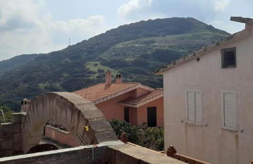 Il rosmarino - Foto 6