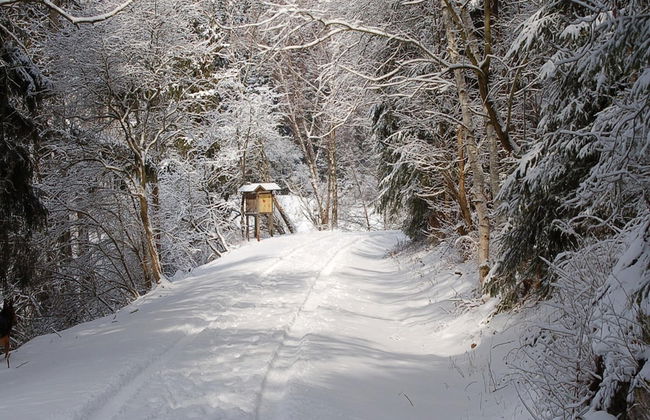 Doppelhaushalfte in Hasselfelde - Foto 19