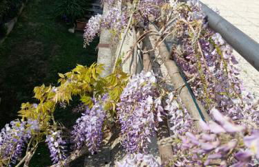 Casa Germana - Foto 25