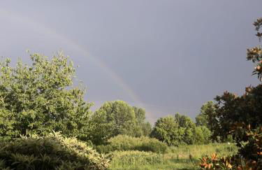 Pecore Ribelli - Photo 15