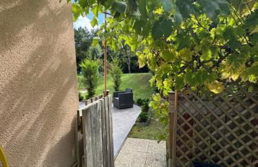 Stelorevan - Foto 19