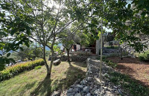 Stone Cottage Cesarovina - Foto 7